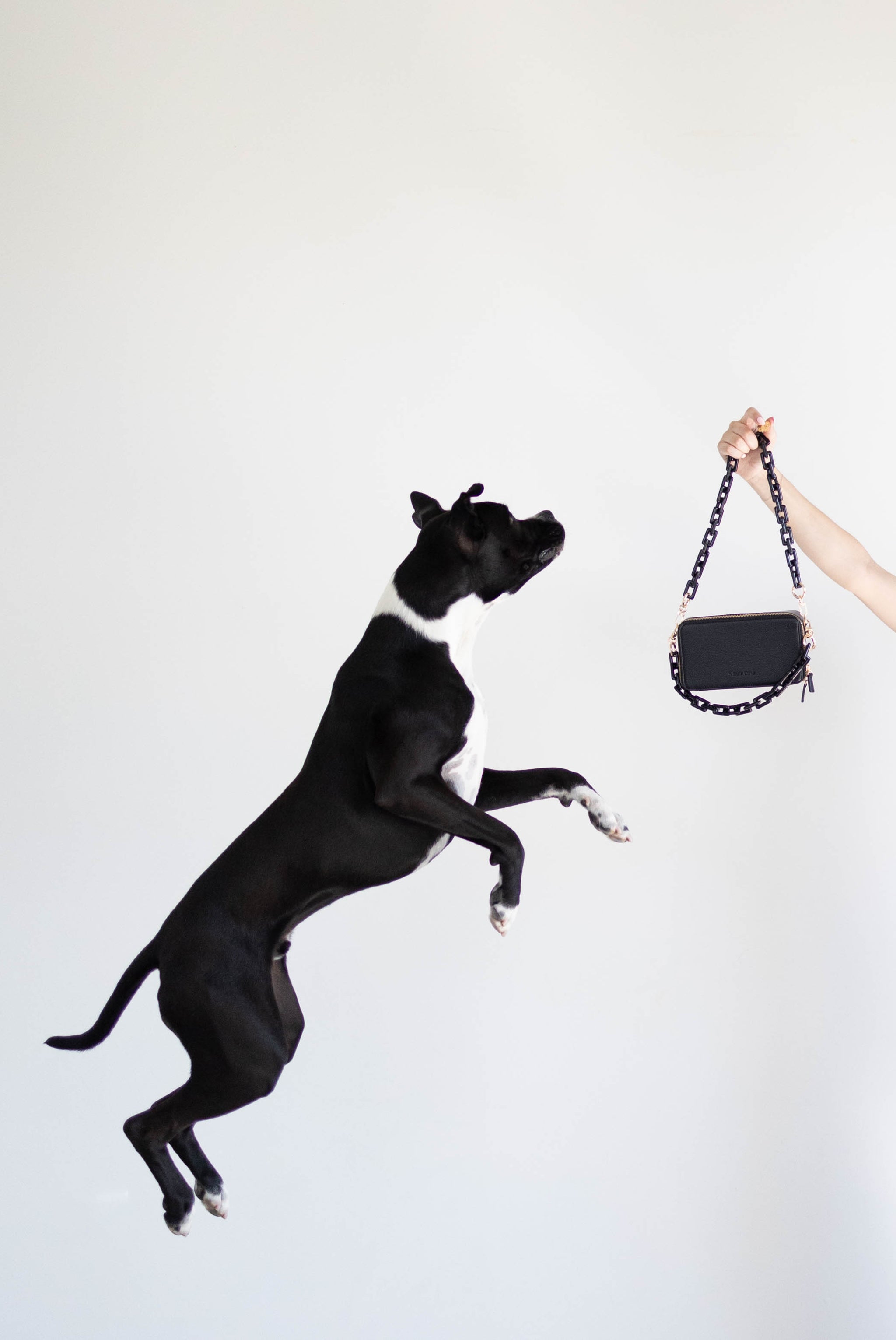 Mazie Days Gift Card | Gift for Dog Moms